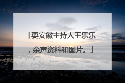 要安徽主持人王乐乐，余声资料和图片。