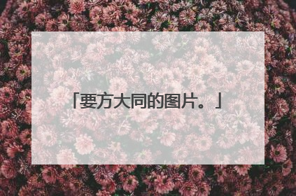 要方大同的图片。