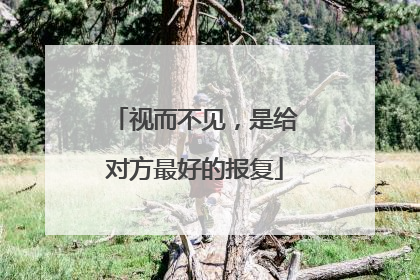 视而不见,是给对方最好的报复