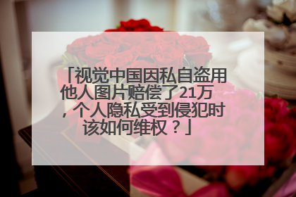视觉中国因私自盗用他人图片赔偿了21万，个人隐私受到侵犯时该如何维权？
