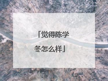 觉得陈学冬怎么样