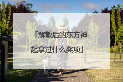 解散后的东方神起拿过什么奖项