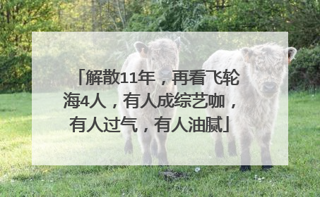 解散11年,再看飞轮海4人,有人成综艺咖,有人过气,有人油腻