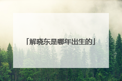 解晓东是哪年出生的