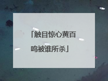 触目惊心黄百鸣被谁所杀