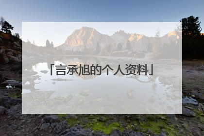 言承旭的个人资料