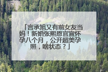言承旭又有前女友当妈!新婚张熙恩官宣怀孕八个月,公开超美孕照,啥状态?