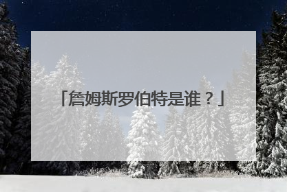 詹姆斯罗伯特是谁?