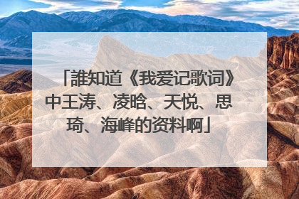 誰知道《我爱记歌词》中王涛、凌晗、天悦、思琦、海峰的资料啊