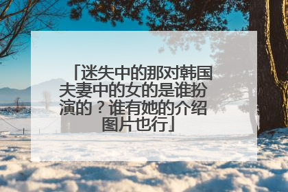 迷失中的那对韩国夫妻中的女的是谁扮演的?谁有她的介绍 图片也行