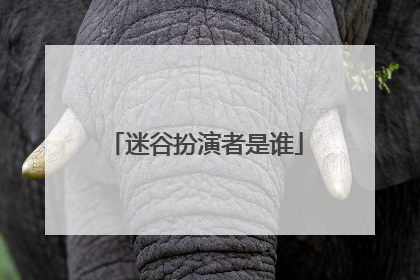 迷谷扮演者是谁