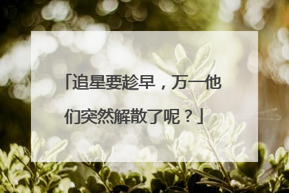 追星要趁早,万一他们突然解散了呢?