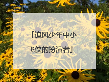 追风少年中小飞侠的扮演者