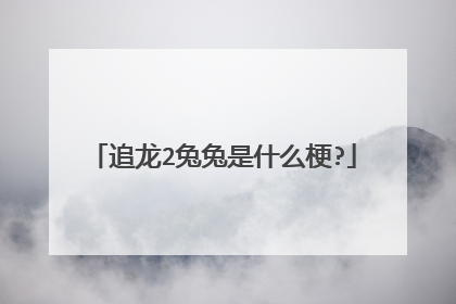 追龙2兔兔是什么梗?