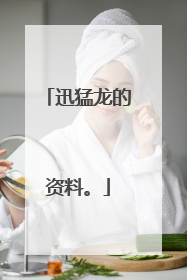 迅猛龙的资料。