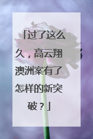 过了这么久,高云翔澳洲案有了怎样的新突破?