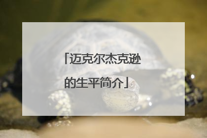 迈克尔杰克逊的生平简介