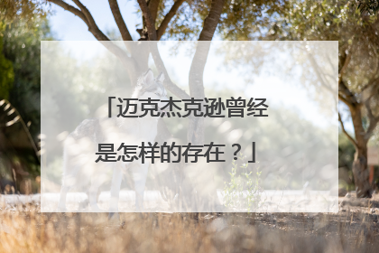 迈克杰克逊曾经是怎样的存在？