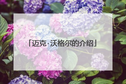 迈克·沃格尔的介绍