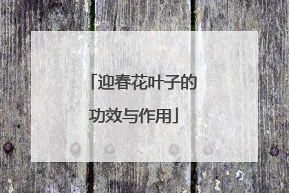 迎春花叶子的功效与作用