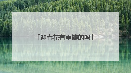 迎春花有重瓣的吗