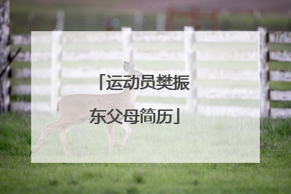 运动员樊振东父母简历