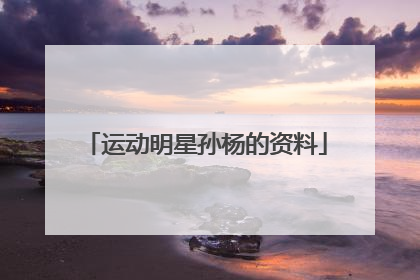 运动明星孙杨的资料