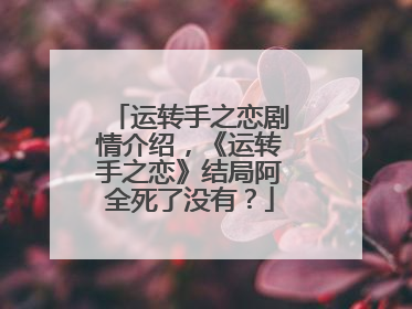 运转手之恋剧情介绍，《运转手之恋》结局阿全死了没有？
