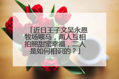 近日王子文吴永恩牧场喂马，两人互相拍照甜蜜幸福，二人是如何相识的？