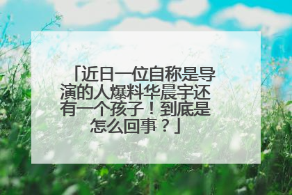 近日一位自称是导演的人爆料华晨宇还有一个孩子!到底是怎么回事?