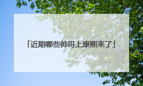 近期哪些帅哥上康熙来了