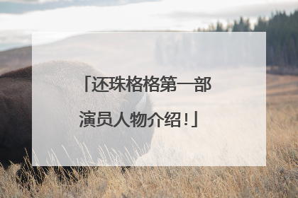 还珠格格第一部演员人物介绍!