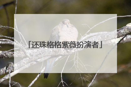 还珠格格紫薇扮演者