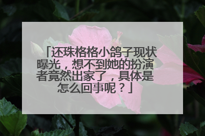 还珠格格小鸽子现状曝光，想不到她的扮演者竟然出家了，具体是怎么回事呢？