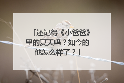 还记得《小爸爸》里的夏天吗?如今的他怎么样了?