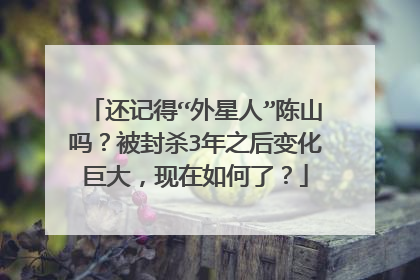 还记得“外星人”陈山吗？被封杀3年之后变化巨大，现在如何了？