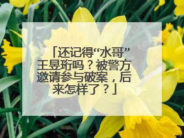 还记得“水哥”王昱珩吗？被警方邀请参与破案，后来怎样了？