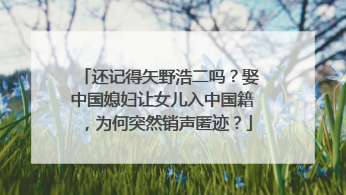 还记得矢野浩二吗？娶中国媳妇让女儿入中国籍，为何突然销声匿迹？