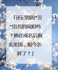还记得因“丑”出名的凤姐吗?她在成名后跑去美国,如今怎样了?
