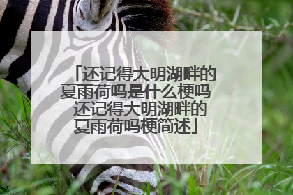 还记得大明湖畔的夏雨荷吗是什么梗吗 还记得大明湖畔的夏雨荷吗梗简述