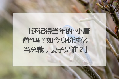 还记得当年的“小唐僧”吗?如今身价过亿当总裁,妻子是谁?