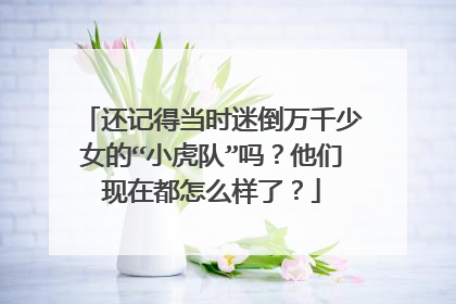 还记得当时迷倒万千少女的“小虎队”吗?他们现在都怎么样了?