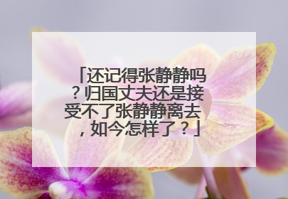 还记得张静静吗?归国丈夫还是接受不了张静静离去,如今怎样了?