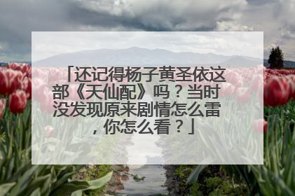 还记得杨子黄圣依这部《天仙配》吗？当时没发现原来剧情怎么雷，你怎么看？