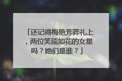 还记得梅艳芳葬礼上，两位笑靥如花的女星吗？她们是谁？