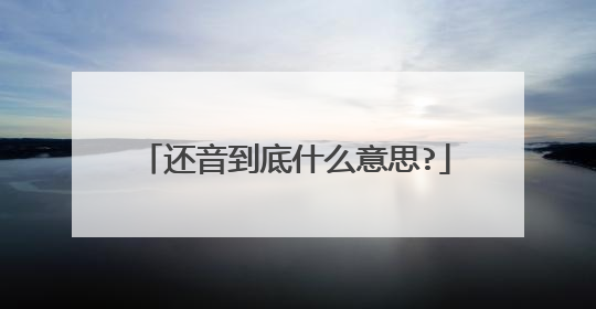 还音到底什么意思?