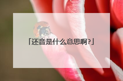 还音是什么意思啊?