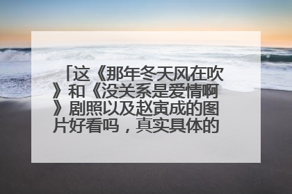 这《那年冬天风在吹》和《没关系是爱情啊》剧照以及赵寅成的图片好看吗,真实具体的评价必采纳