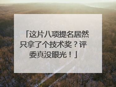 这片八项提名居然只拿了个技术奖?评委真没眼光!