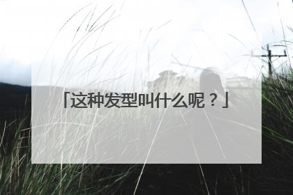 这种发型叫什么呢？